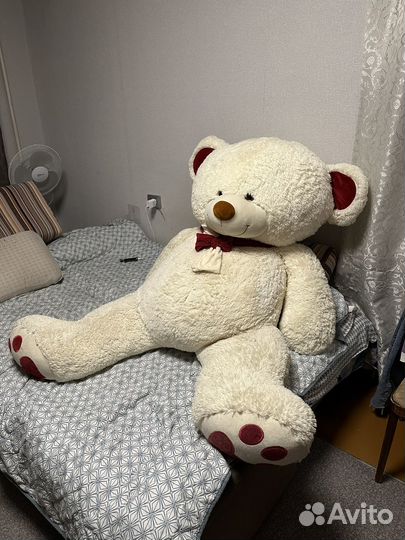 Большие плюшевые медведи