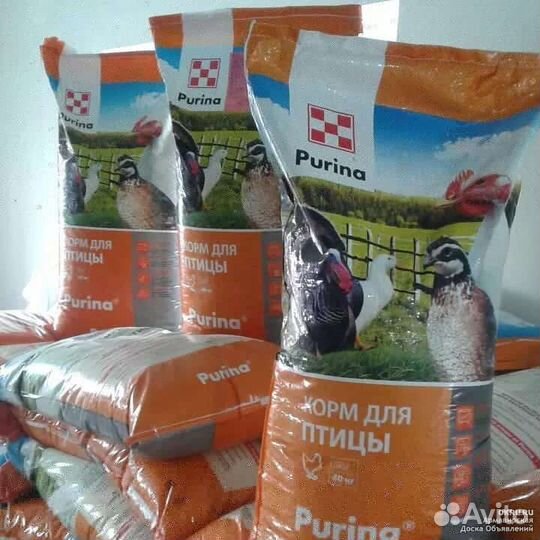 Пурина Комбикорма