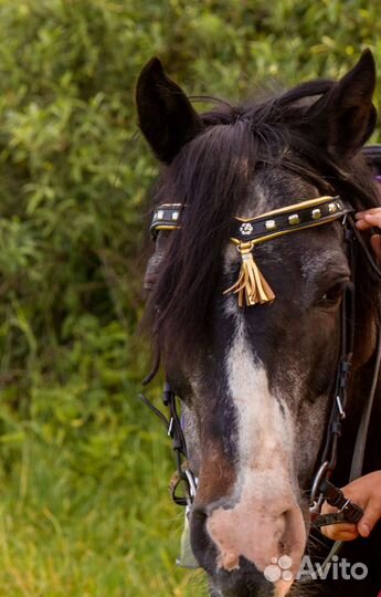 Налобник на уздечку