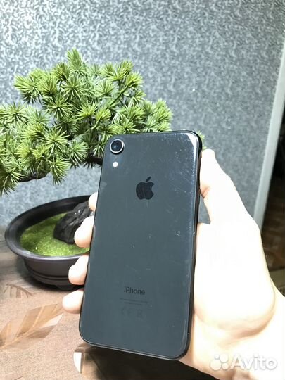 iPhone Xr, 64 ГБ