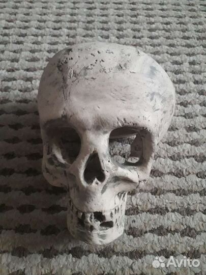 Череп для ритуалов, вуду