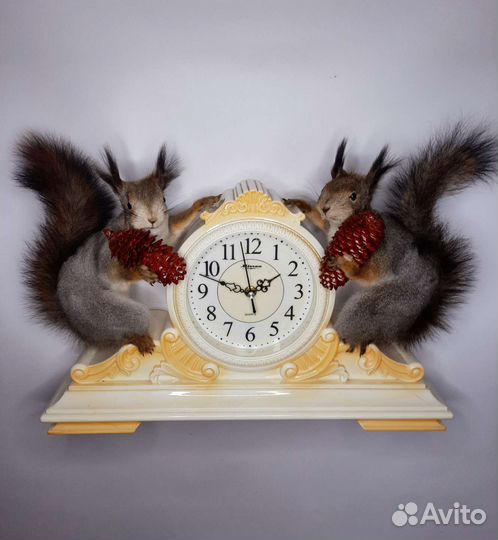 Чучело белка с часами