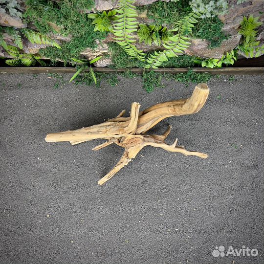 Коряга для аквариума Корень Азалии (нк434)