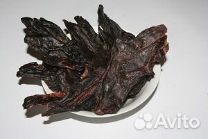 Оленина Таймырская