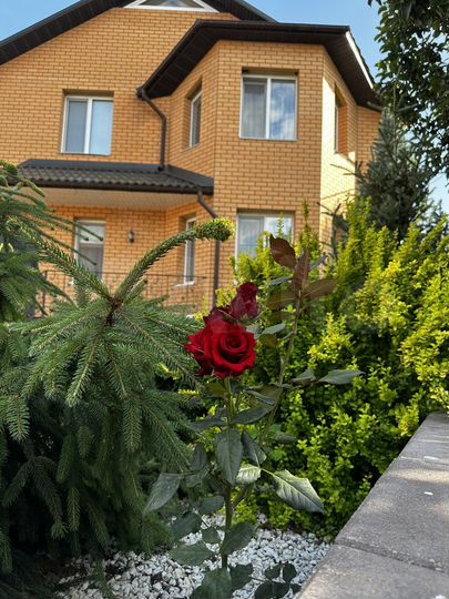 Дом 320 м² на участке 7,5 сот.