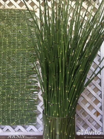 Сухоцветы в пучках