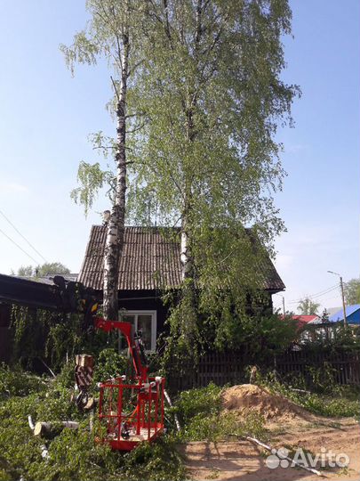 Спил/кронирование деревьев