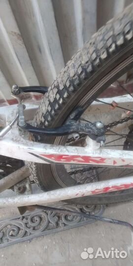 Велосипед ceralo actico