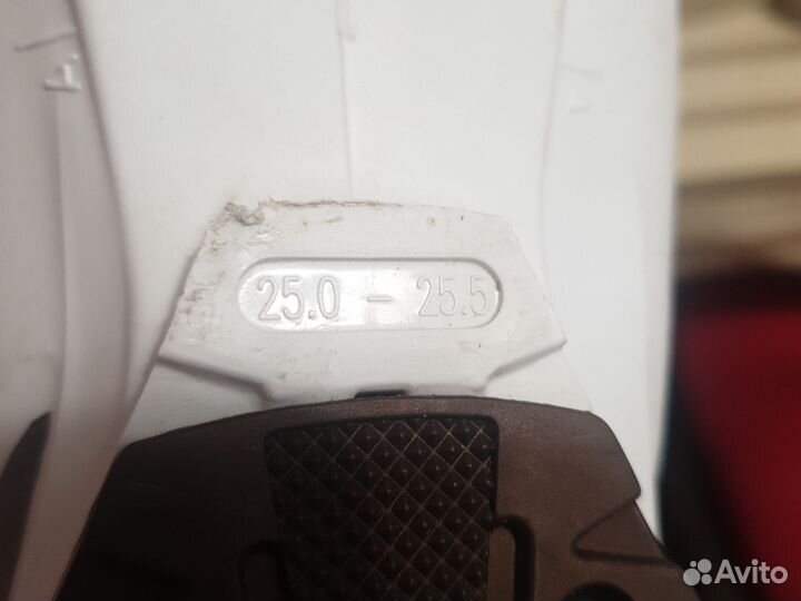 Горнолыжные ботинки