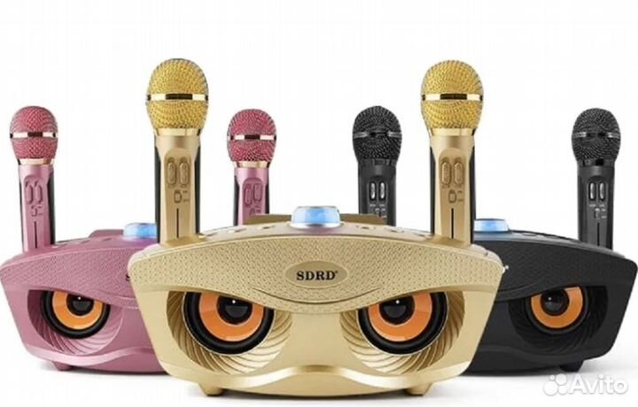 Портативная караоке система с двумя микрофонами