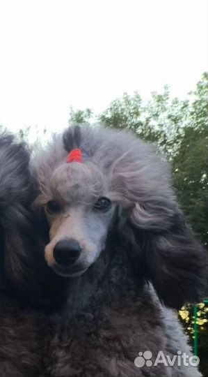 Крошечка на ладошечке