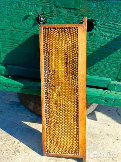 Ульи для пчел