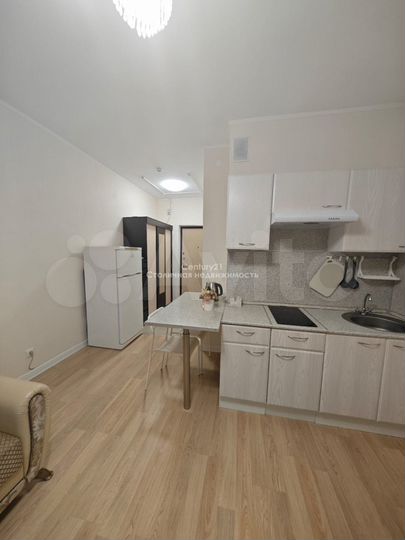 Квартира-студия, 22,5 м², 13/17 эт.