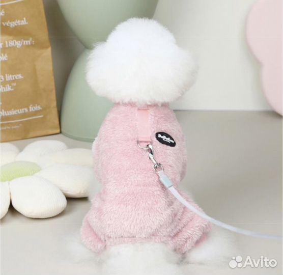 Костюм для собаки