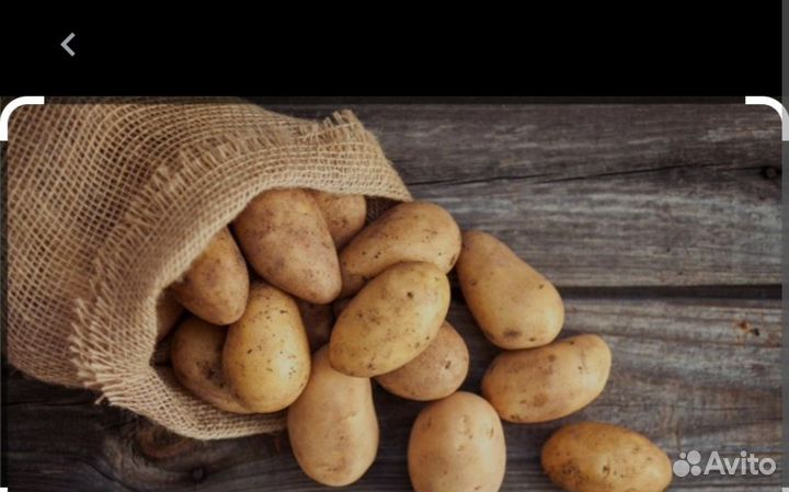 Продам картофель