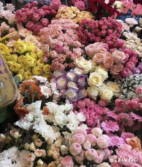 Цветы букеты с доставкой розы 51 роза