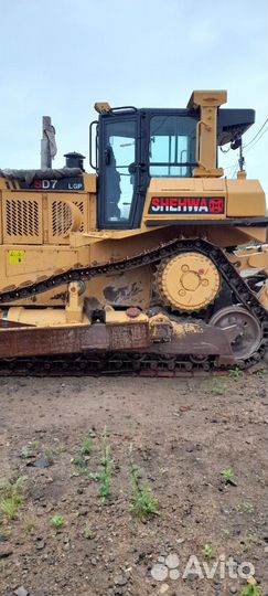 SHEHWA (HBXG) SD7, 2021