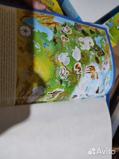 Настольная игра - Наша Родина - Россия