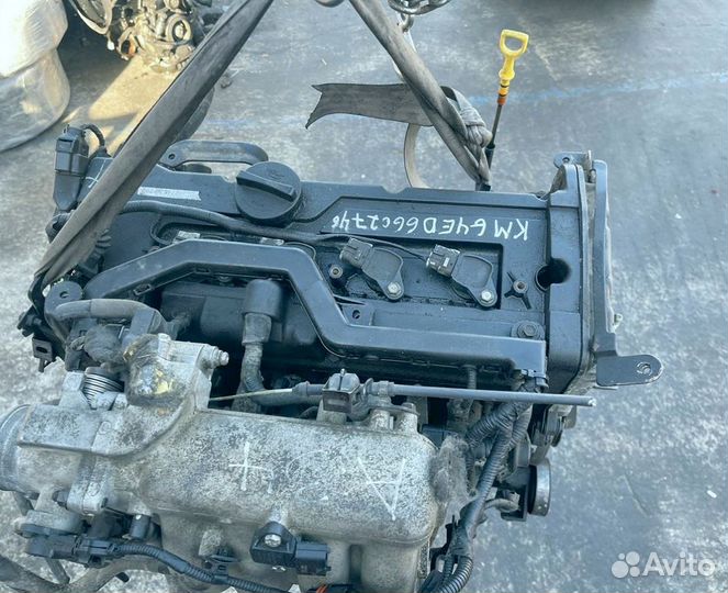 Двигатель G4ED Hyundai / Kia Контрактный