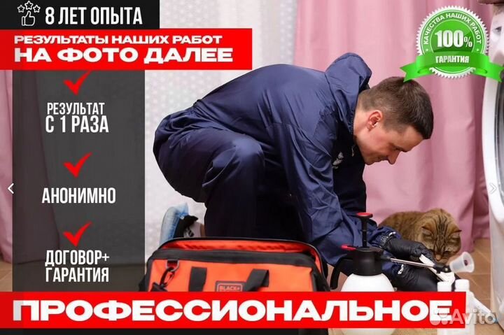 Уничтожение тараканов обработка от клопов и блох