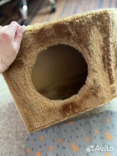 Кошачий домик