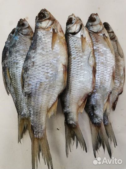 Рыба Вобла вял. цена за кг