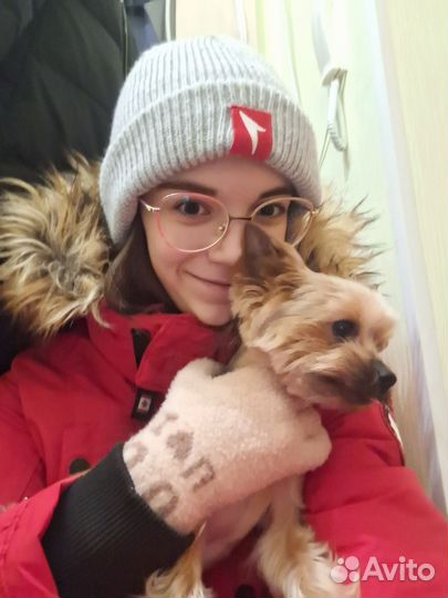 Выгул собак