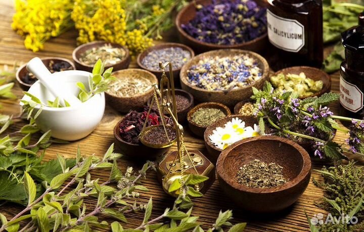 Сбор с травами от паразитов в организме