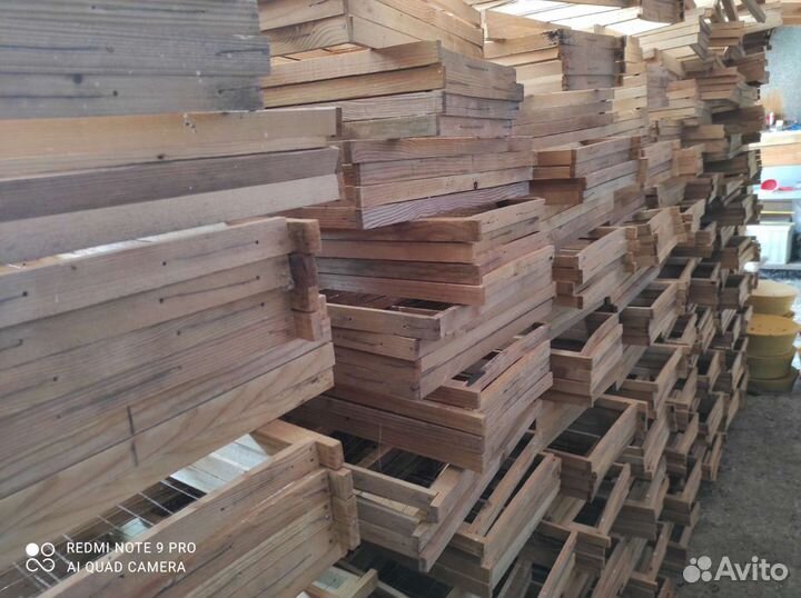 Пчелы улья пасеку