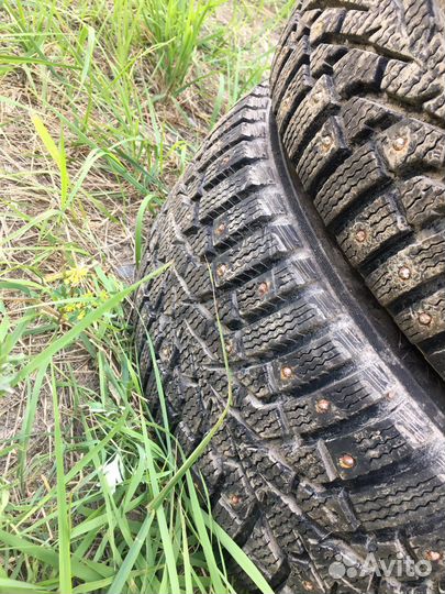 Maxxis ArcticTrekker NP3 205/55 R16