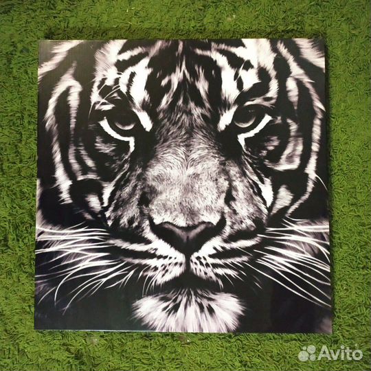 Картина репродукция тигр