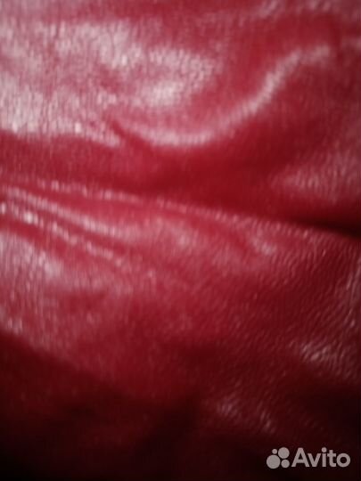 Одежда для маленьких пород собак