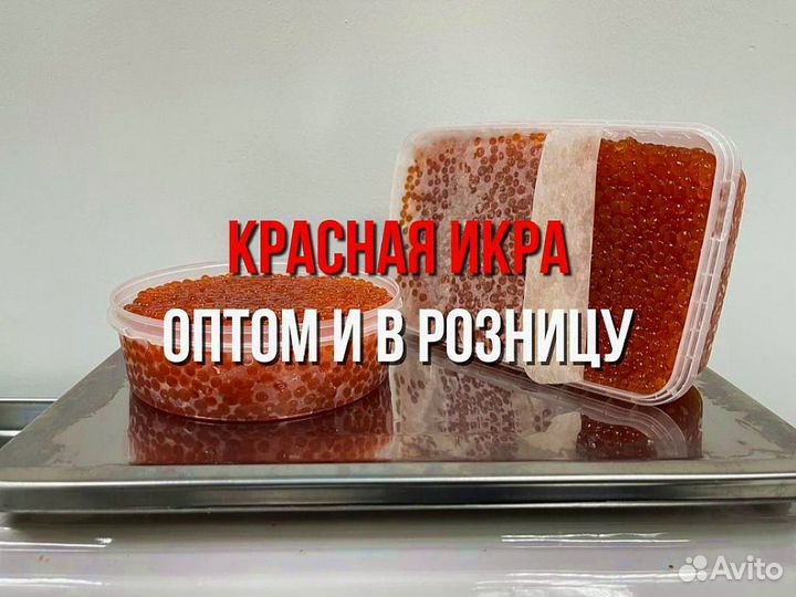 Красная икра опт