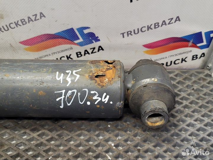 9703260100 Амортизатор задний Mercedes-Benz Atego