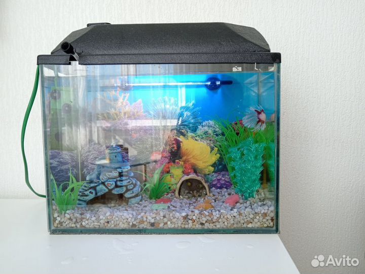 Аквариум