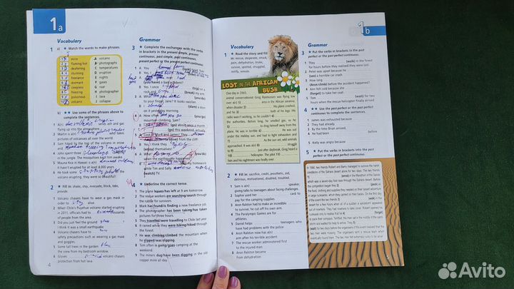 Старлайт Starlight 8 рабочая тетрадь