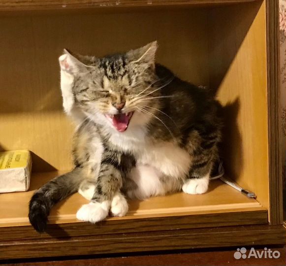 Ну страшно красивая