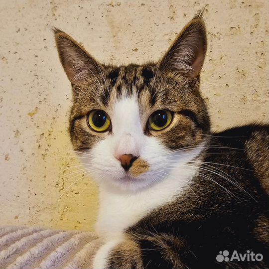 Атос 10 месяцев