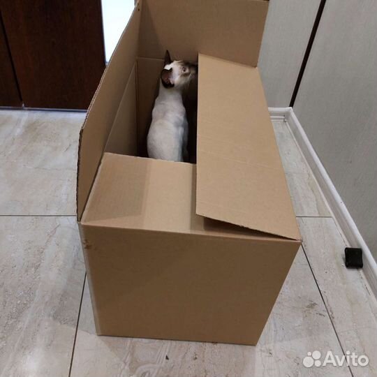 Картонные коробки