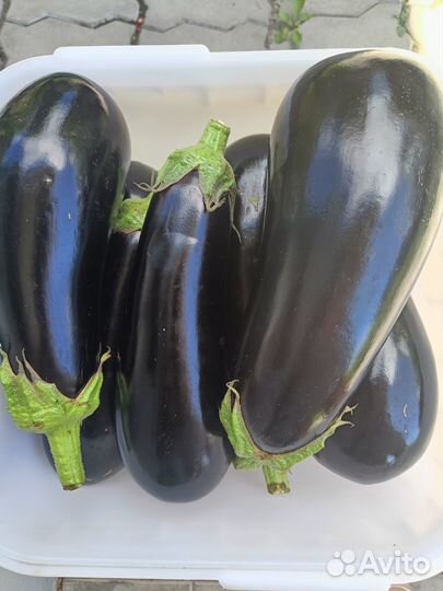 Баклажаны и помидоры