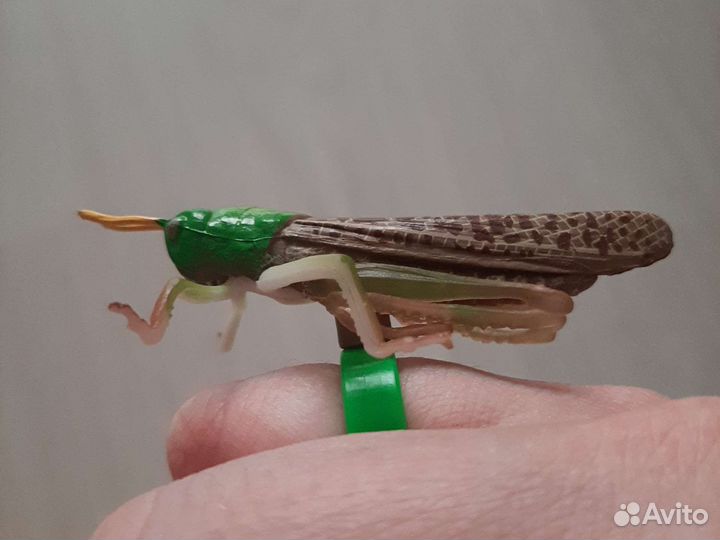 Кузнечик пластик