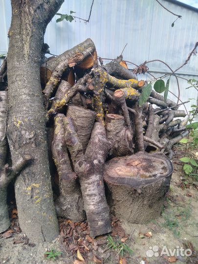 Продам колотые дрова