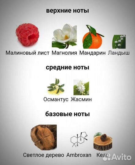 Wood for Her dsquared² 20 мл