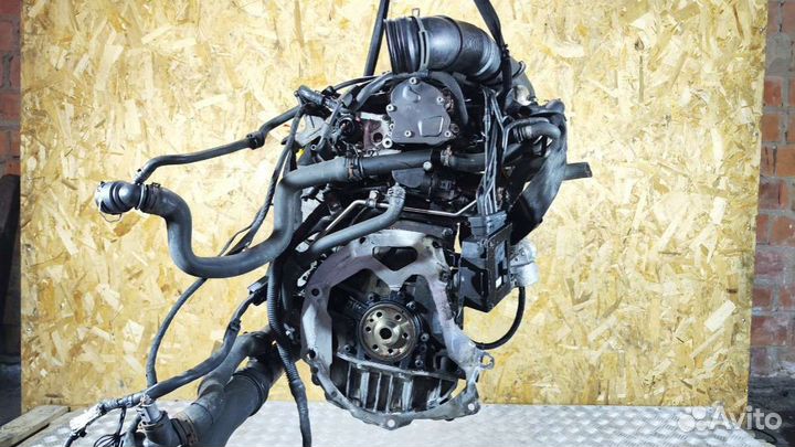 Двигатель Volkswagen Golf 5 (2003 - 2009) 1.9 BXF