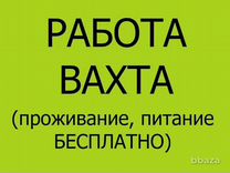 Фасовщик на производство/ вахта 15/15