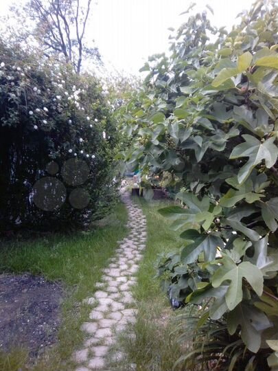 3-к. квартира, 68,7 м², 2/2 эт.