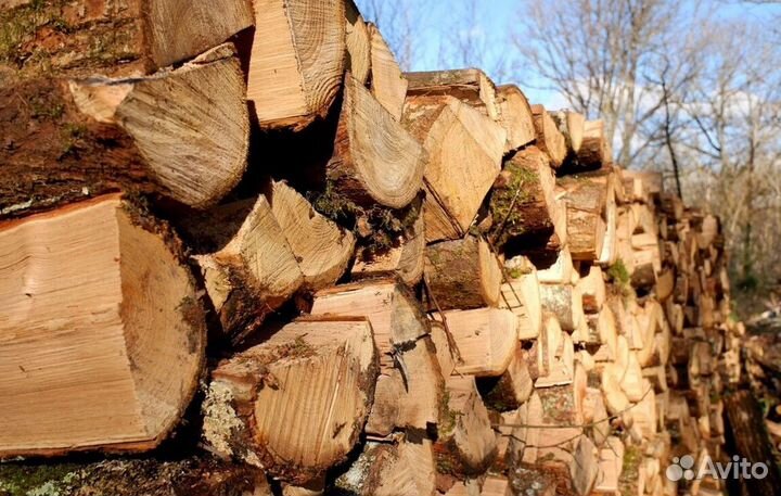 Дрова колотые