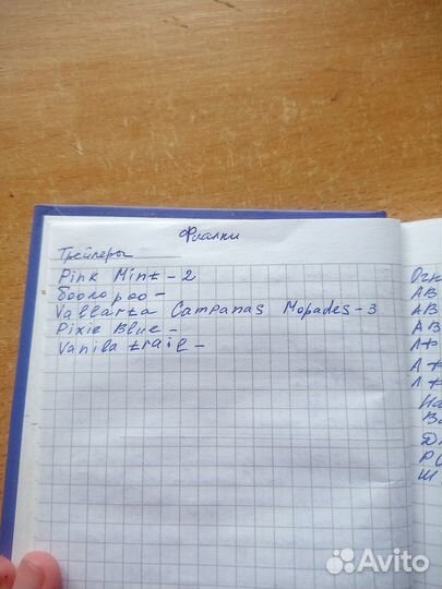 Листики сортовых фиалок