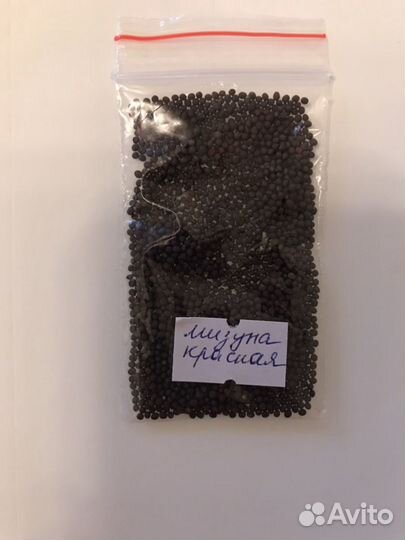 Семена для микрозелени