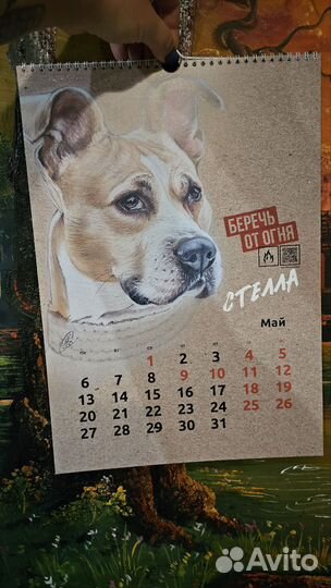 Календарь с питбулями